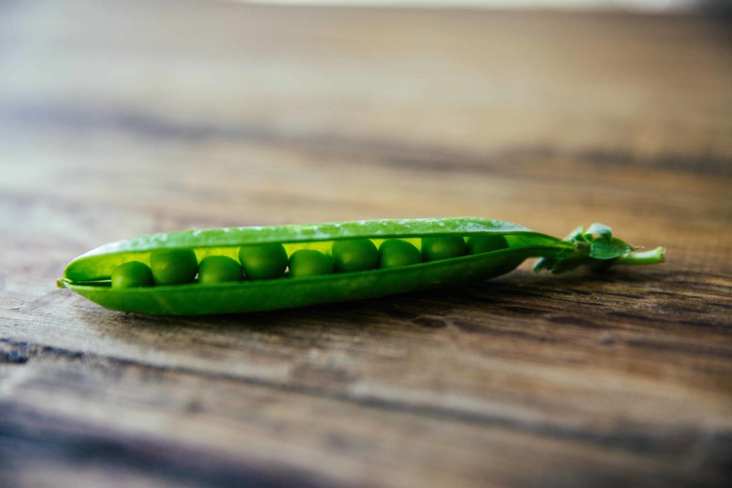 high definition image of green peas in a pod. One pea pod on a table.