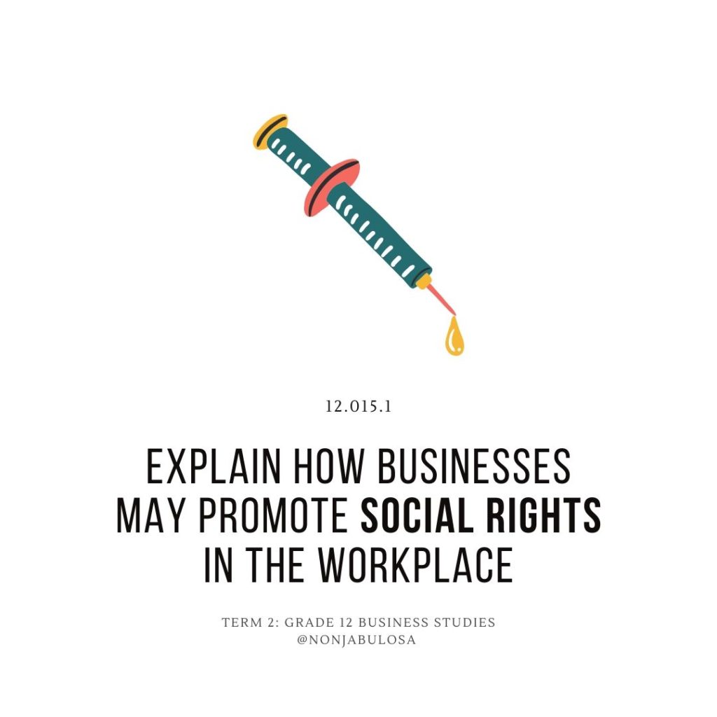 Test yourself quiz card – Grade 12 Business Studies examination practice. Explain how businesses may promote social rights in the workplace. South African Human Rights.