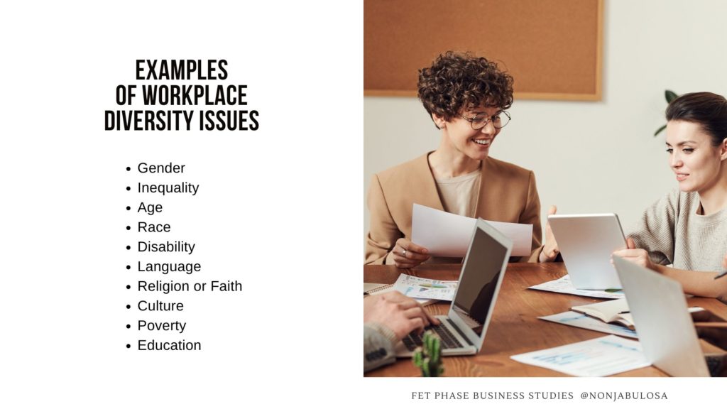 Image with list of diversity issues. Examples of Workplace Diversity Issues in South Africa. What is diversity in the workplace? What is a diverse workforce? Aspects of an inclusive business