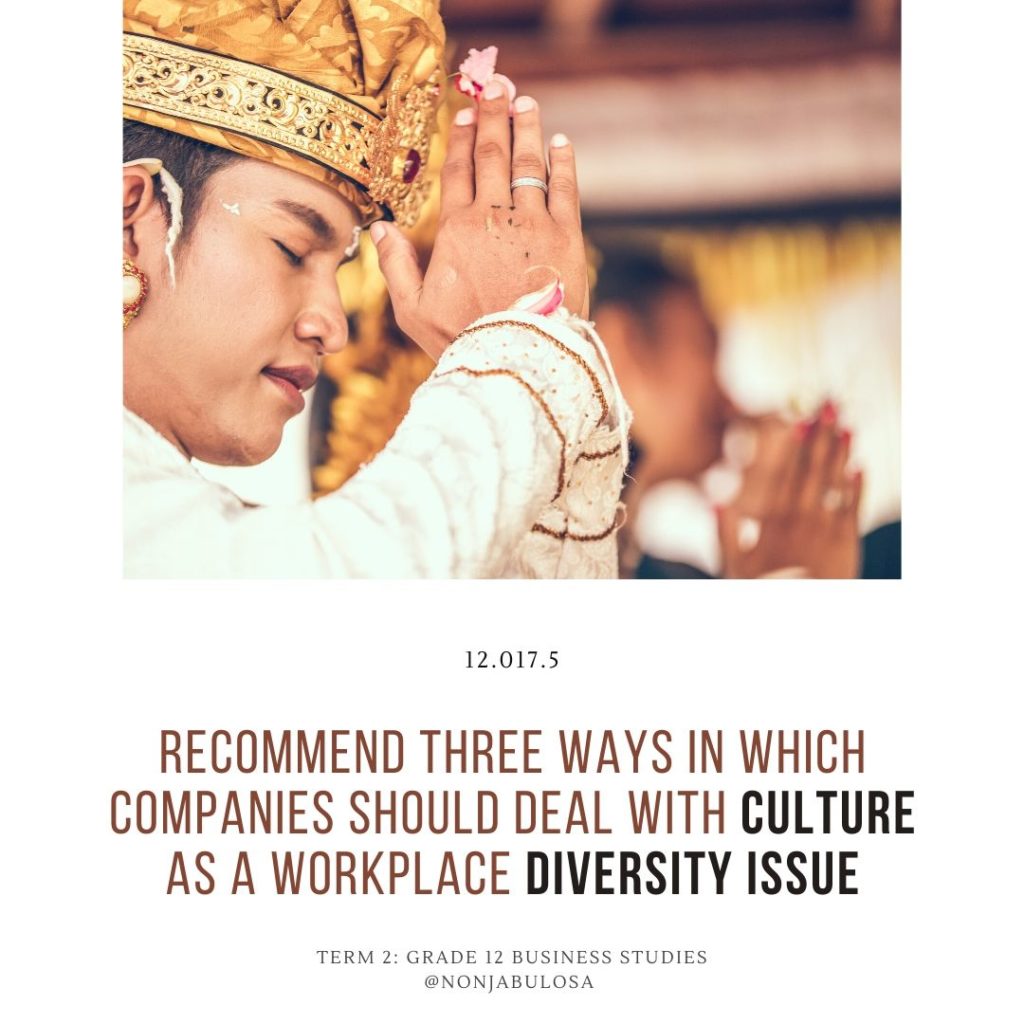 Test yourself quiz card – Grade 12 Business Studies examination practice. Recommend THREE ways in which companies should deal with culture as a workplace diversity issue. Diversity Issues