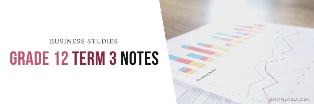 Grade 12 Term 3 Notes - South African Business Studies. NSC Exam Preparation | CAPS Aligned