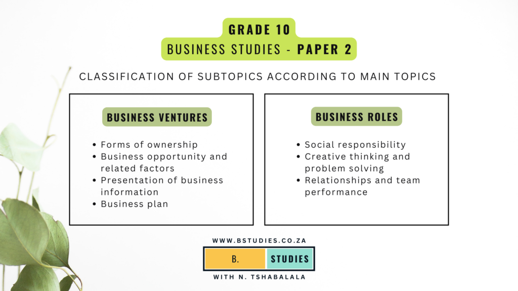 Grade 10 Paper 2 - Business Studies classification of subtopics according to main topics, scope, examination guidelines DBE, CAPS curriculum, NSC