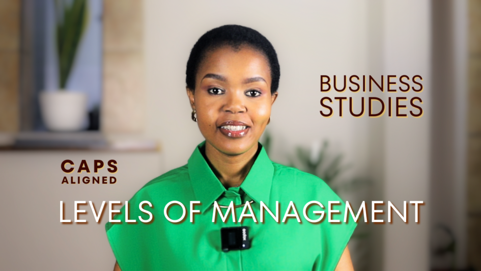 3 levels of management explained with examples, business studies notes, Grade 10-12, micro-environment, business operations, business functions, management function, CAPS aligned, South Africa